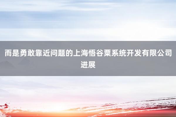 而是勇敢靠近问题的上海悟谷粟系统开发有限公司进展