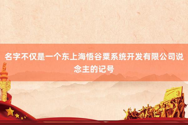 名字不仅是一个东上海悟谷粟系统开发有限公司说念主的记号