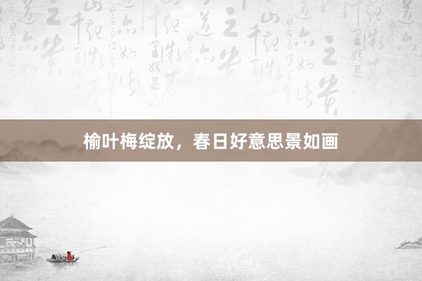 榆叶梅绽放，春日好意思景如画