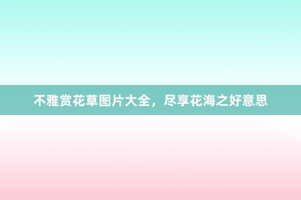 不雅赏花草图片大全,尽享花海之好意思
