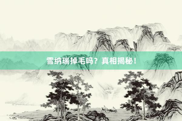 雪纳瑞掉毛吗？真相揭秘！