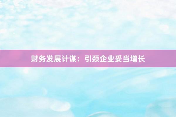 财务发展计谋：引颈企业妥当增长